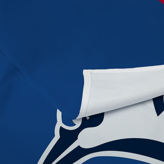 Toronto Blue Jays Premium Wall Hanging 1