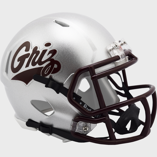 Montana Grizzlies mini helmet