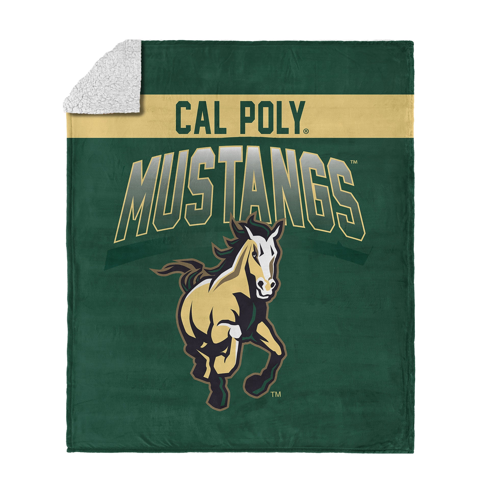 Cal Poly Mustangs BEVEL 50 X 60 SHERPA Throw Blanket