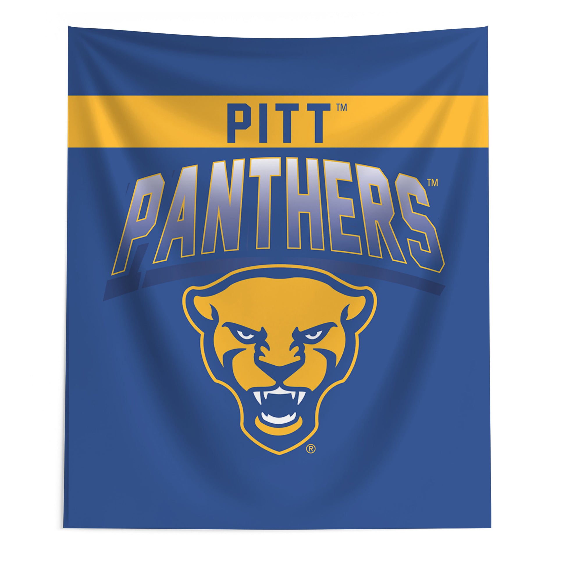 Pittsburgh Panthers bevel wall hanging