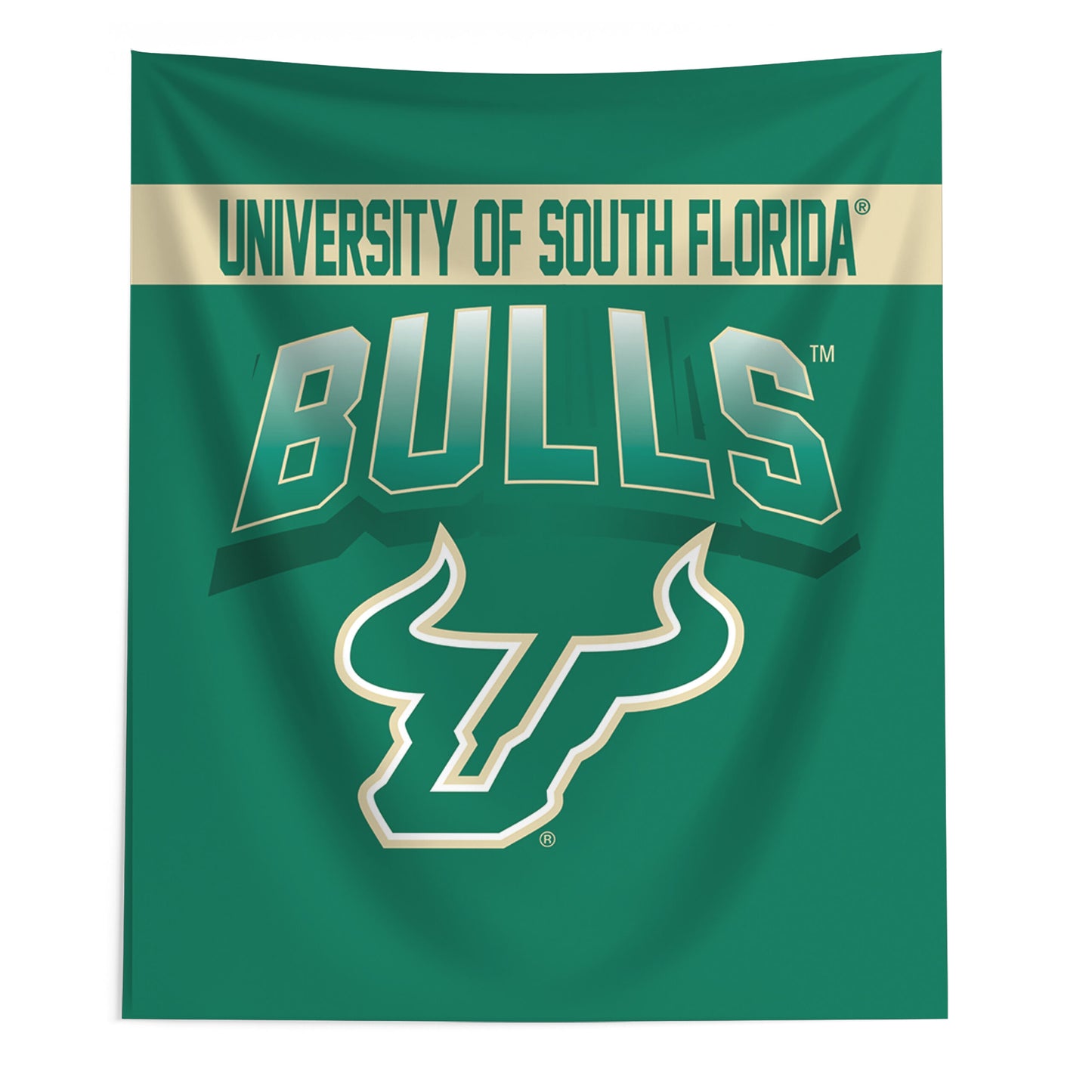 South Florida Bulls bevel wall hanging