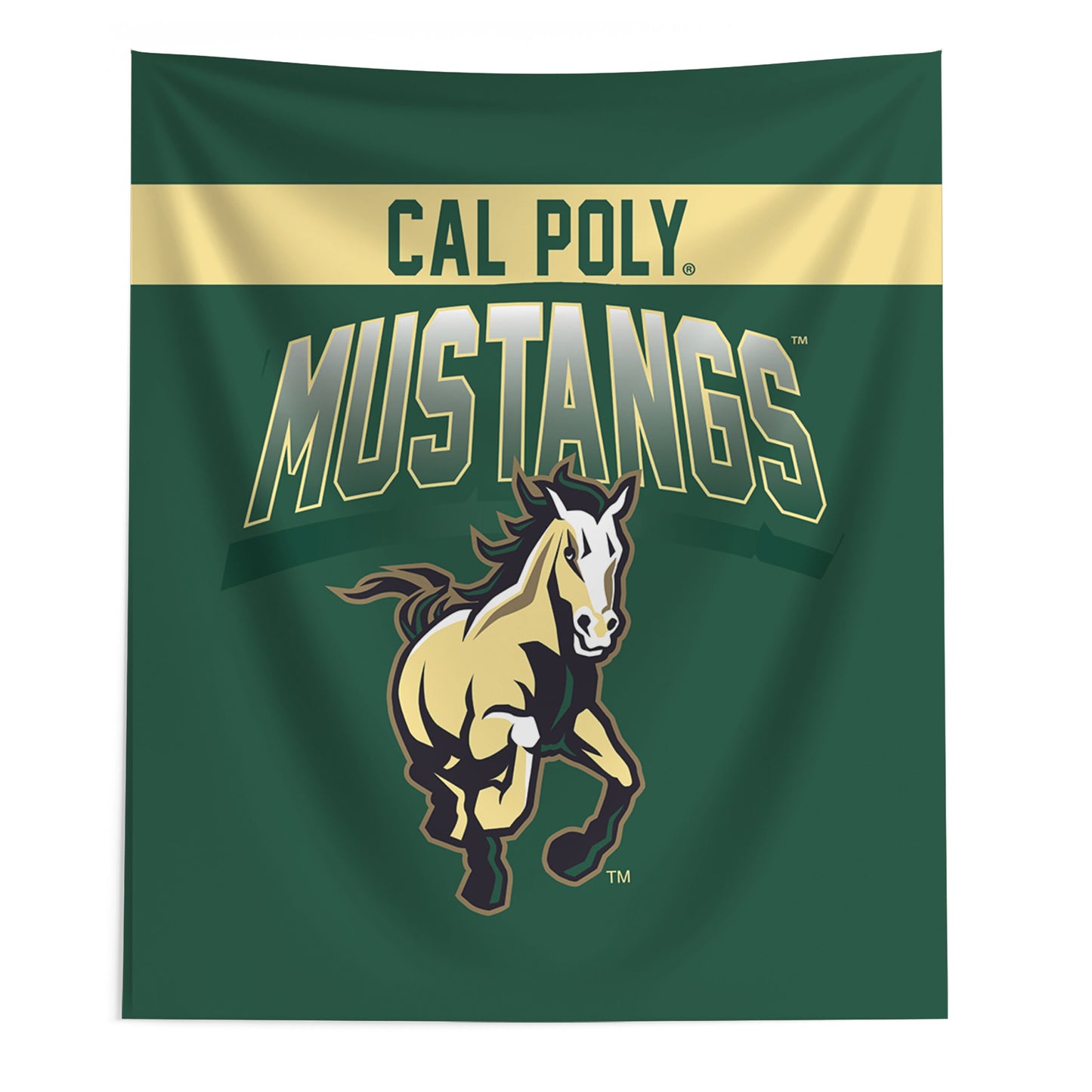 Cal Poly Mustangs bevel wall hanging