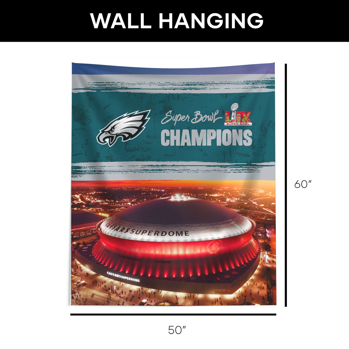 Philadelphia Eagles Super Bowl Champs Large Wall Hanging Dimensions