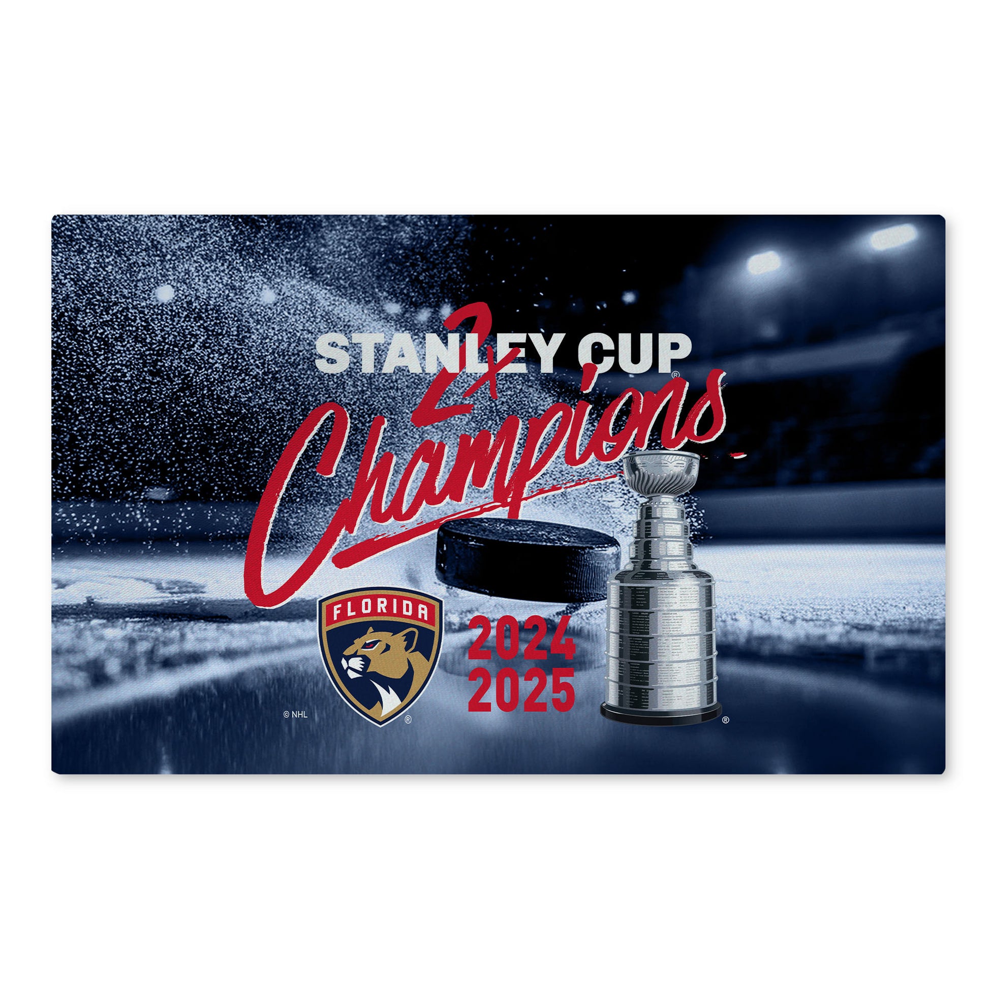 Florida Panthers NHL Stanley Cup Champions rug