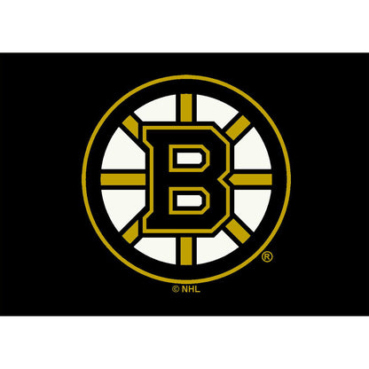 Boston Bruins distressed style area rug
