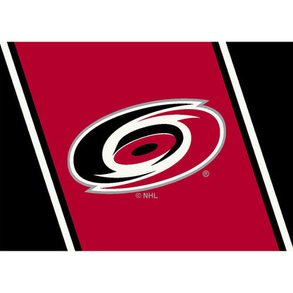 Carolina Hurricanes distressed style area rug