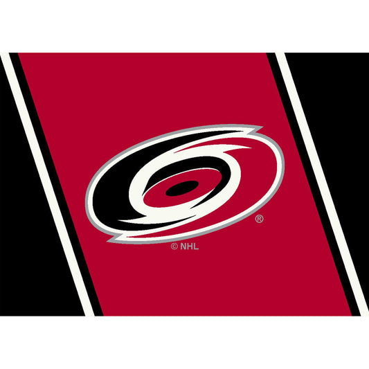 Carolina Hurricanes distressed style area rug