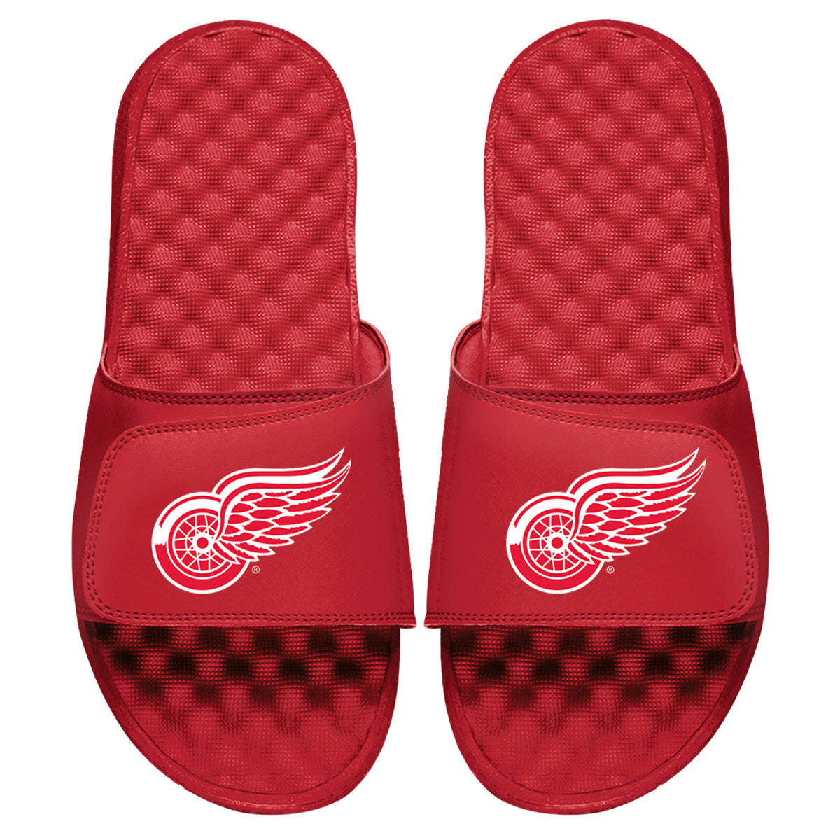 Detroit Red Wings Primary Slides