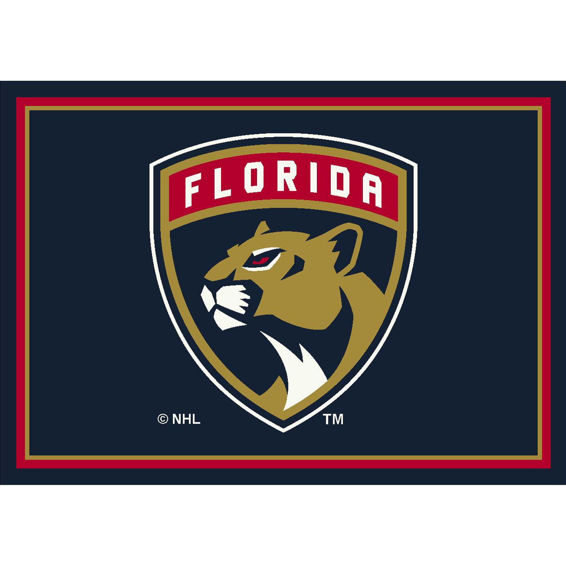 Florida Panthers distressed style area rug