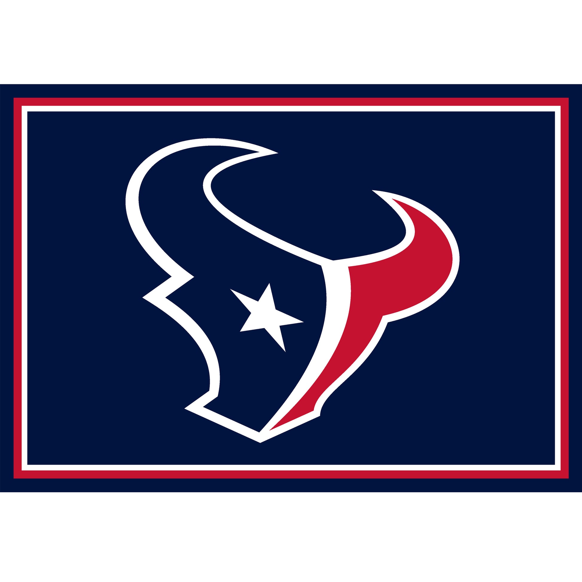 Houston Texans Entry Mat