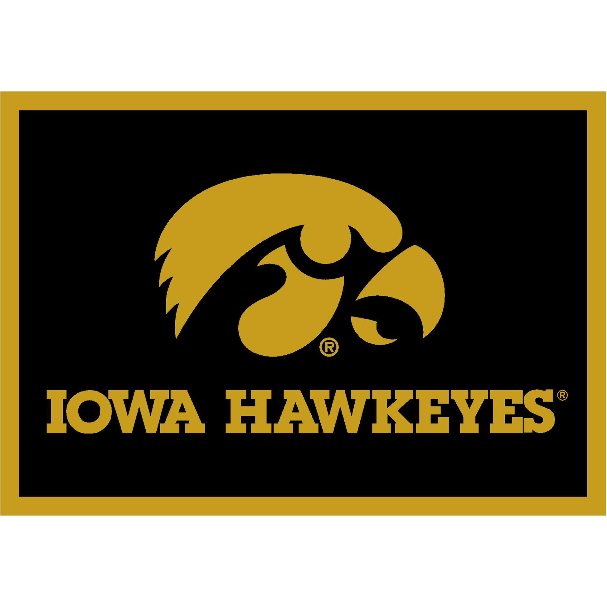 Iowa Hawkeyes distressed style area rug