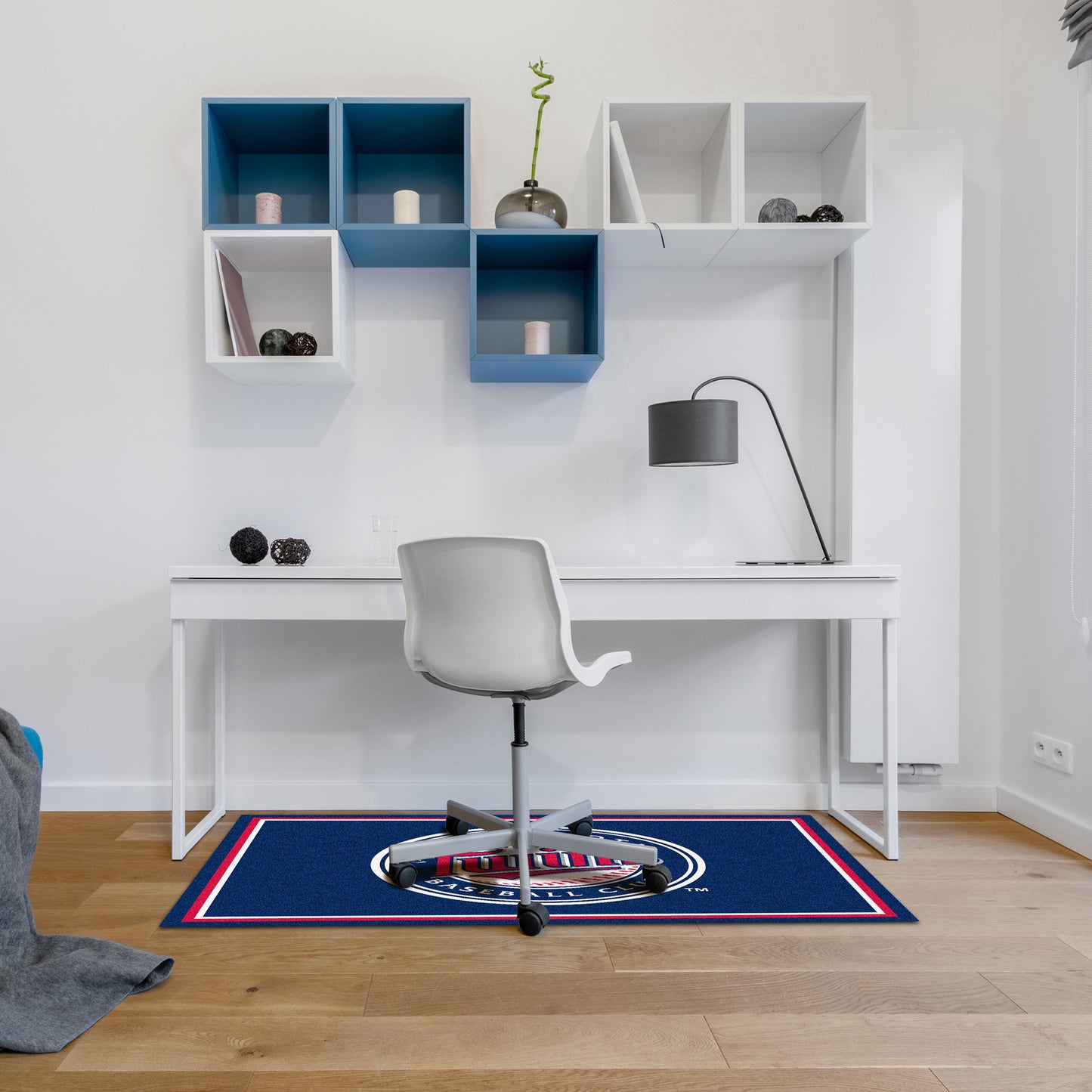 Minnesota Twins small area rug