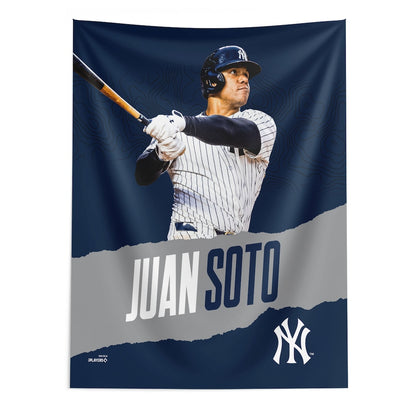New York Yankees Juan Soto wall hanging