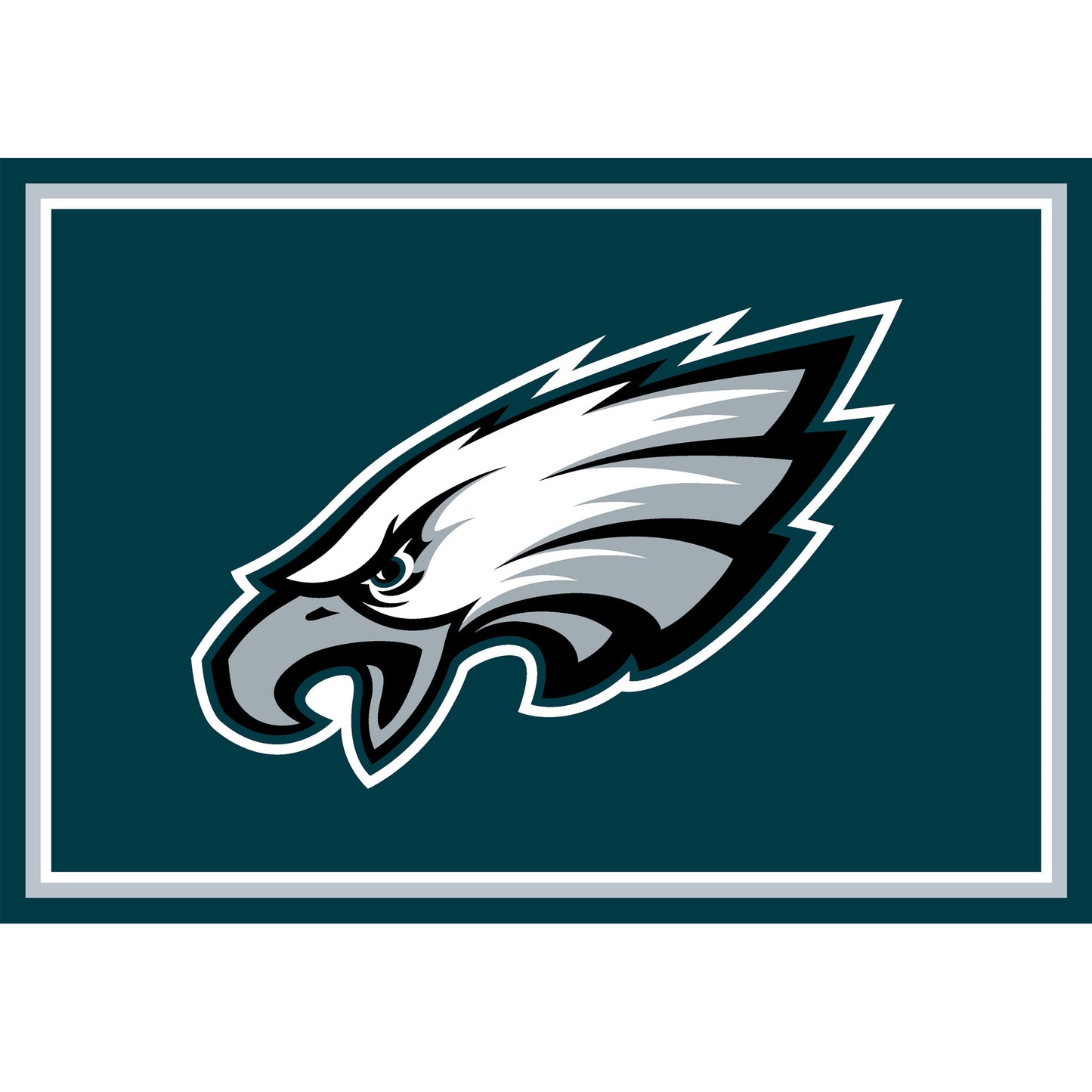 Philadelphia Eagles Entry Mat