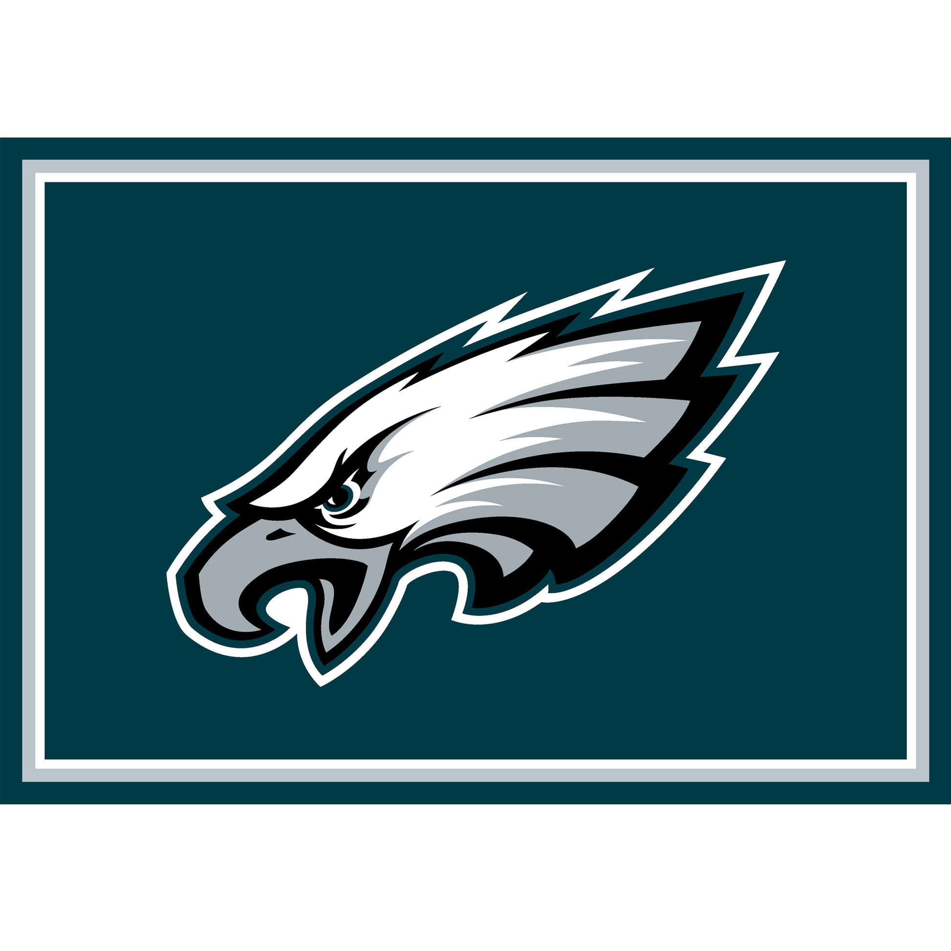 Philadelphia Eagles Entry Mat