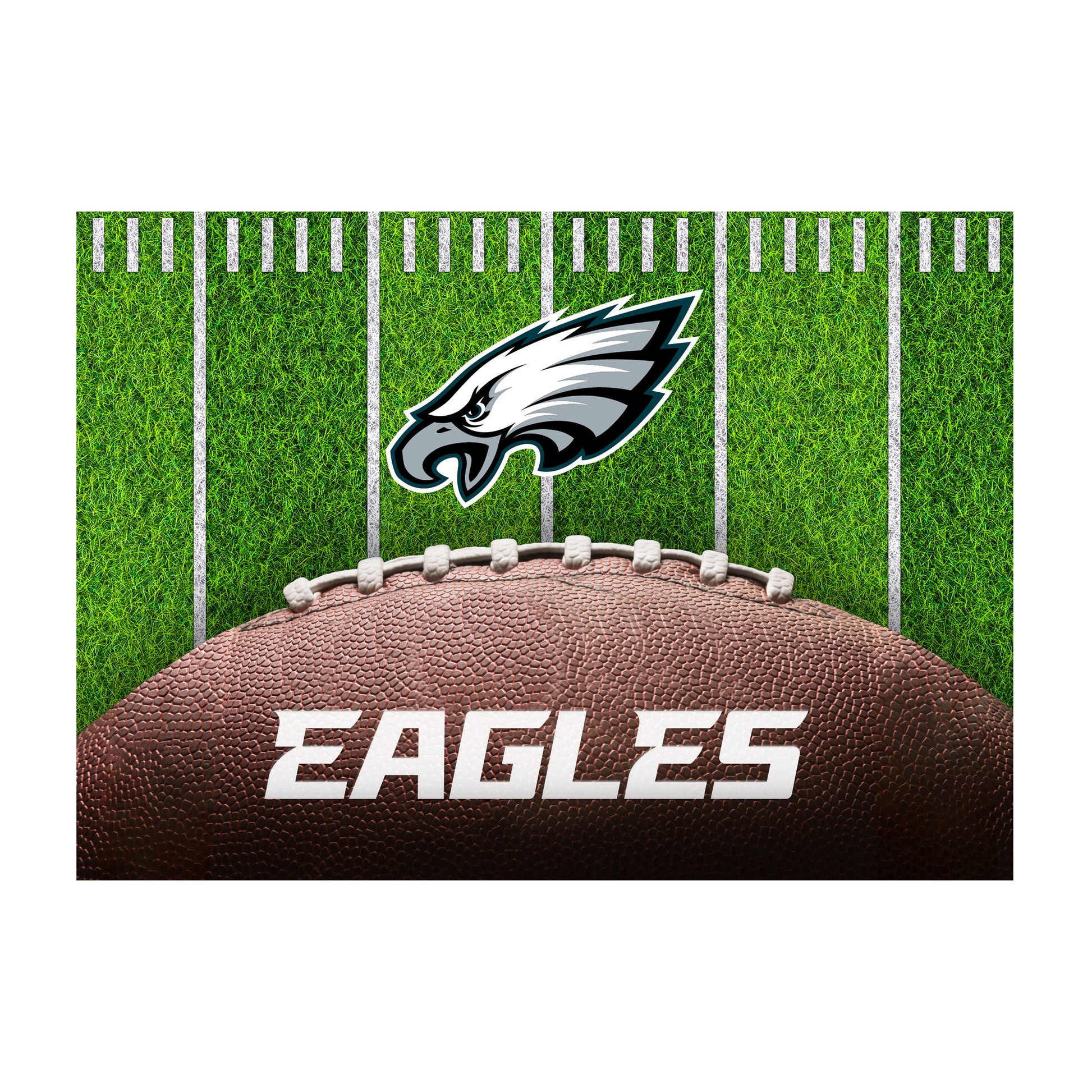 Philadelphia Eagles washable football field rug