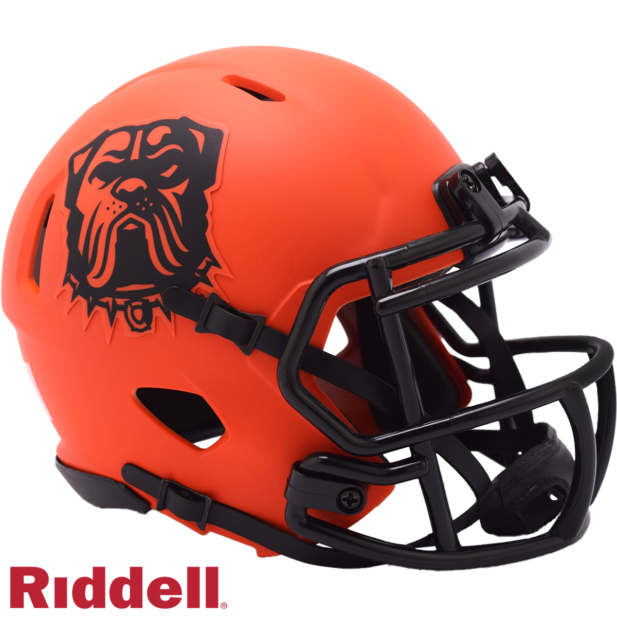 Cleveland Browns rave mini helmet