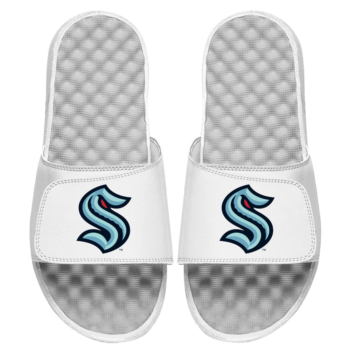 Seattle Kraken Primary Logo Slides