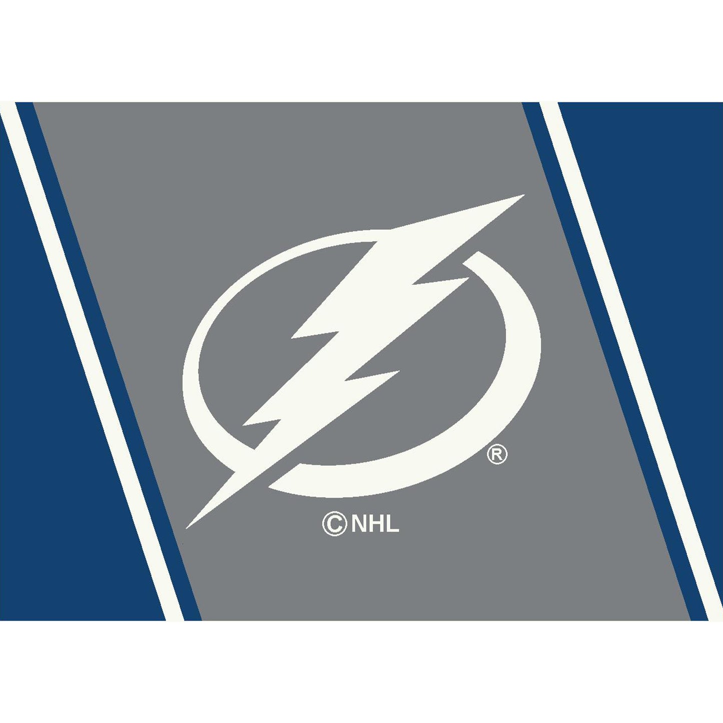 Tampa Bay Lightning distressed style area rug