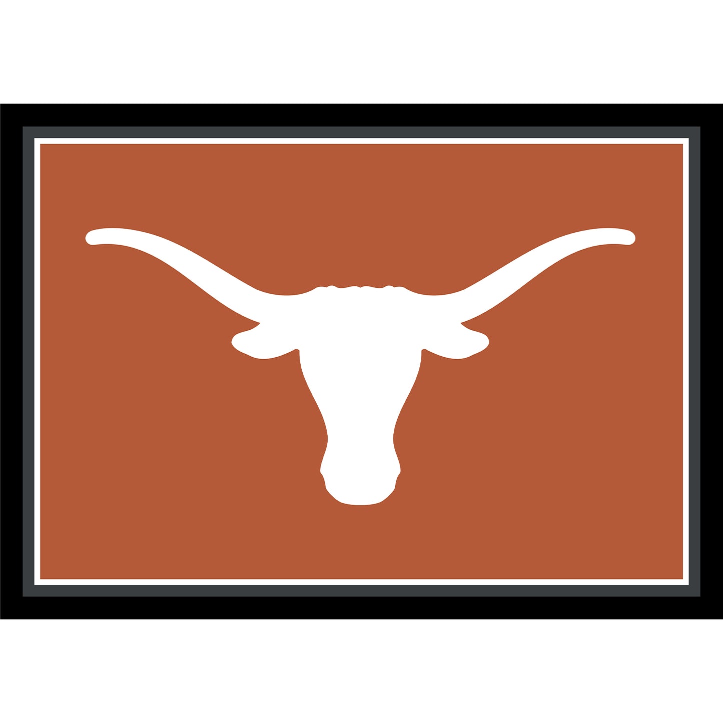 Texas Longhorns distressed style area rug