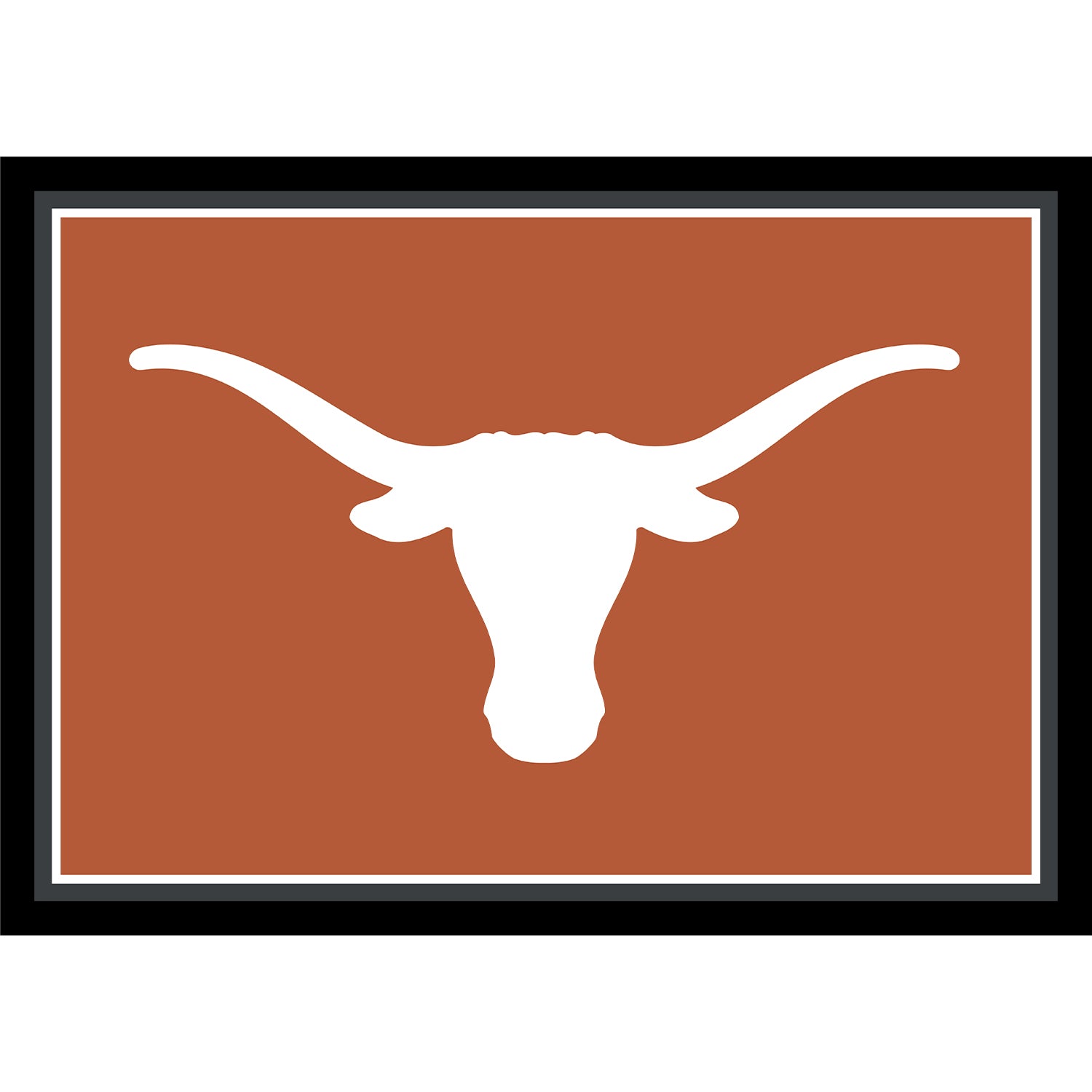 Texas Longhorns distressed style area rug