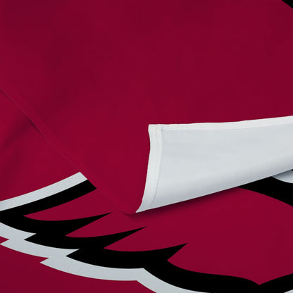 Arizona Cardinals Premium Wall Hanging 1