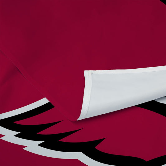 Arizona Cardinals Premium Wall Hanging 1