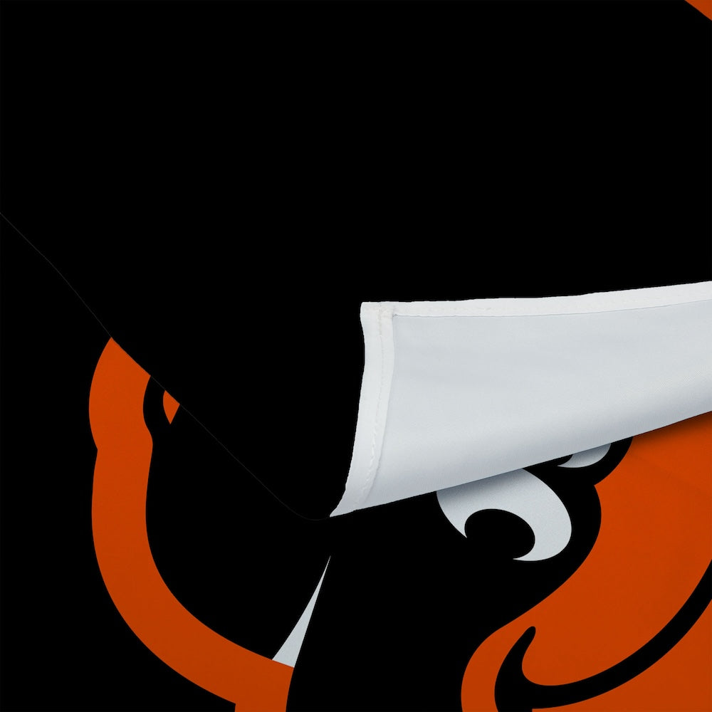 Baltimore Orioles Premium Wall Hanging 1