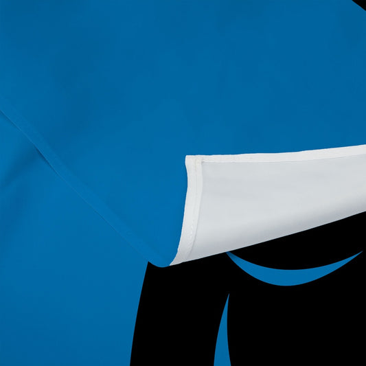 Carolina Panthers Premium Wall Hanging 1