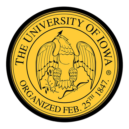 Iowa Hawkeyes Modern Disc Wall Sign