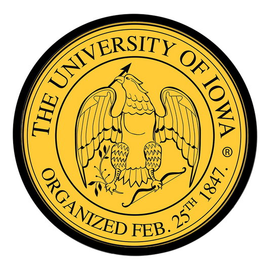 Iowa Hawkeyes Modern Disc Wall Sign