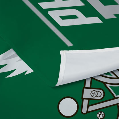 Philadelphia Eagles Premium Throwback Wall Hanging 2